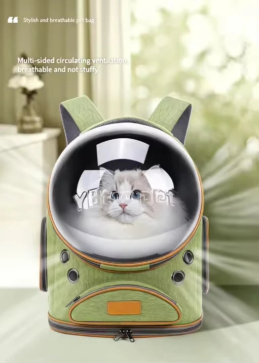 Transparent waterproof outdoor cat bag