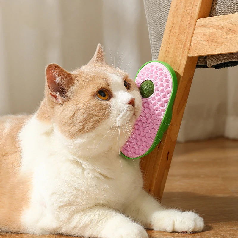 2-in-1 cat hair massager with cat hair ball, easy to install