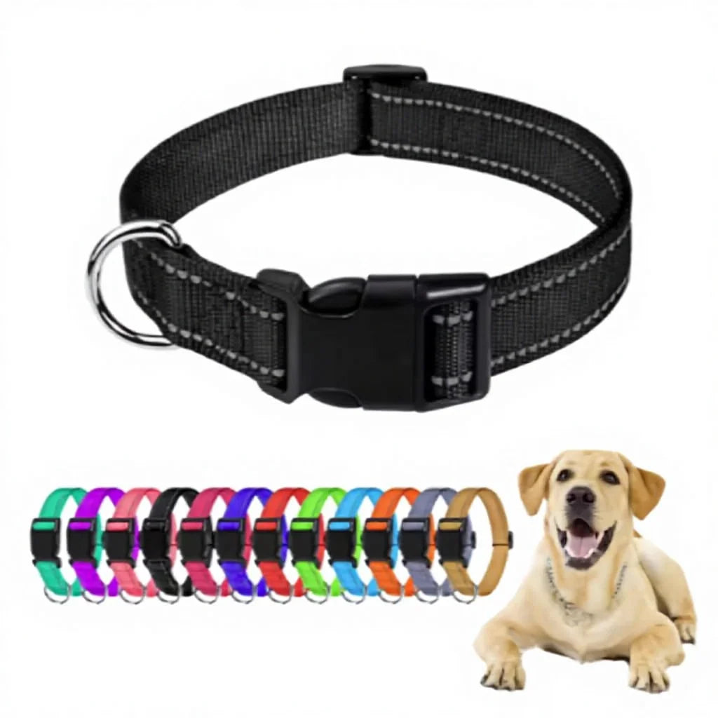 Reflective solid color dog collar