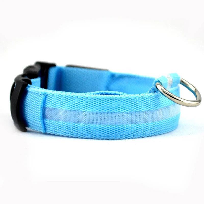 Adjustable LED dog collar flash strap with rechargeable reflective pet neck strap, suitable for safe walking at night