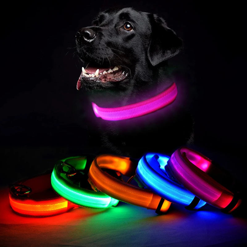 Adjustable LED dog collar flash strap with rechargeable reflective pet neck strap, suitable for safe walking at night
