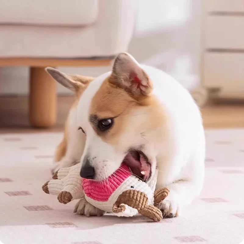 Hot selling pet dog toys