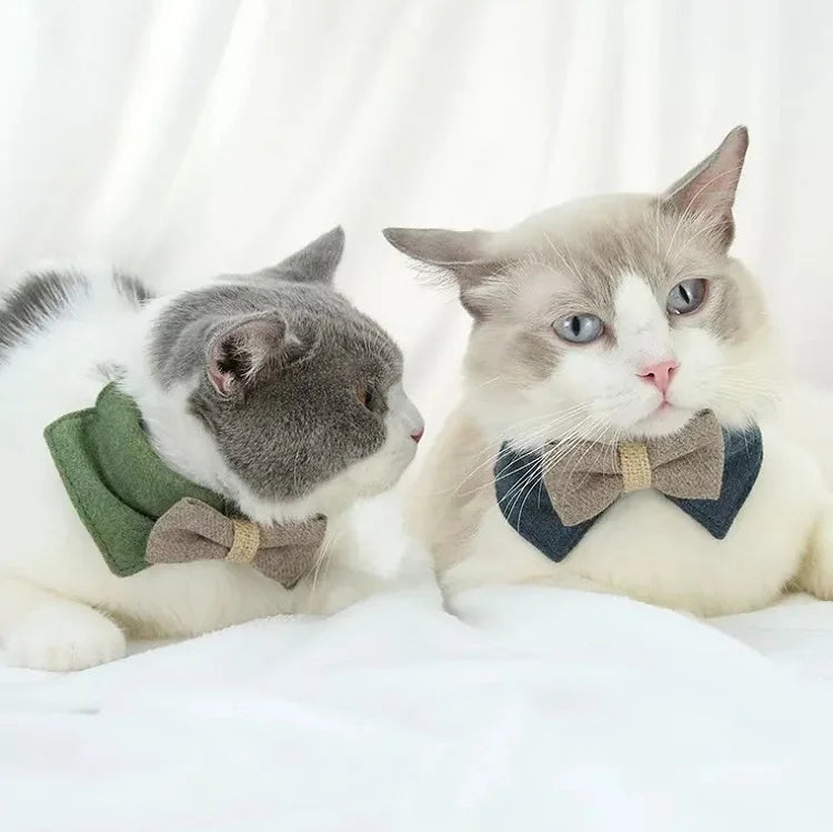 Bow cat collar, suitable for small, medium, and large pets