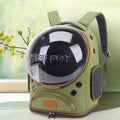 Transparent waterproof outdoor cat bag