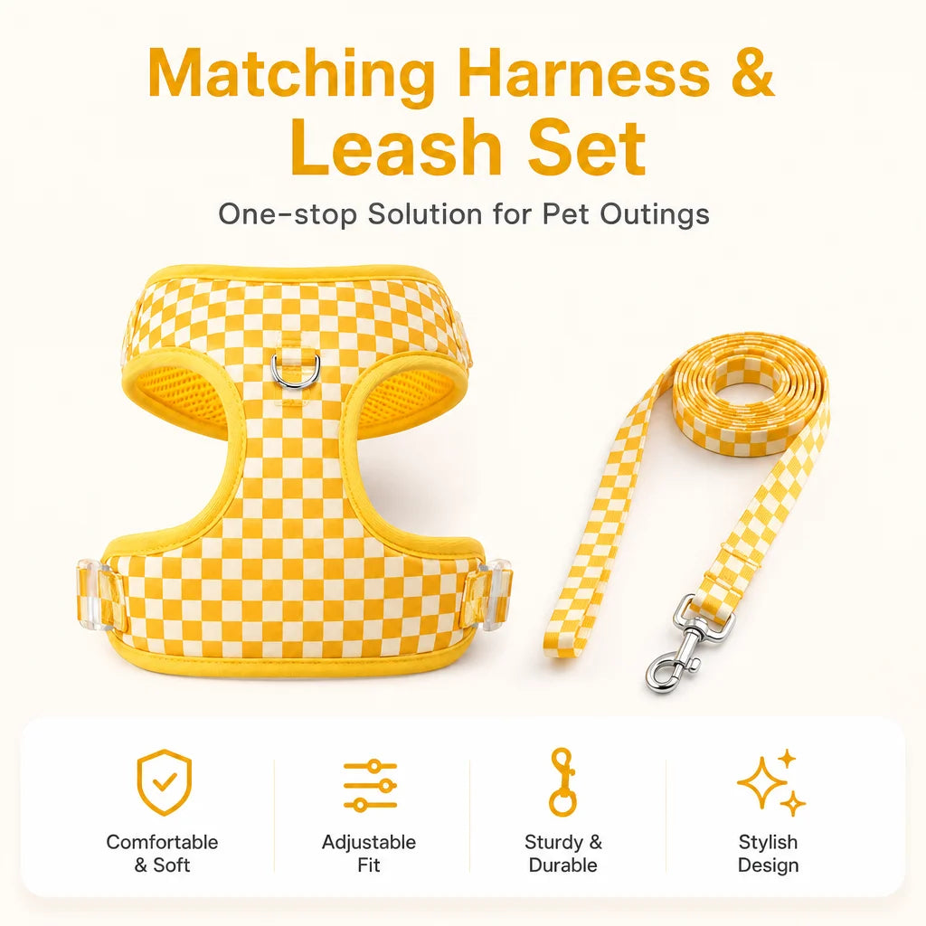Adjustable webbing dog harness, collar, leash, dog walking kit