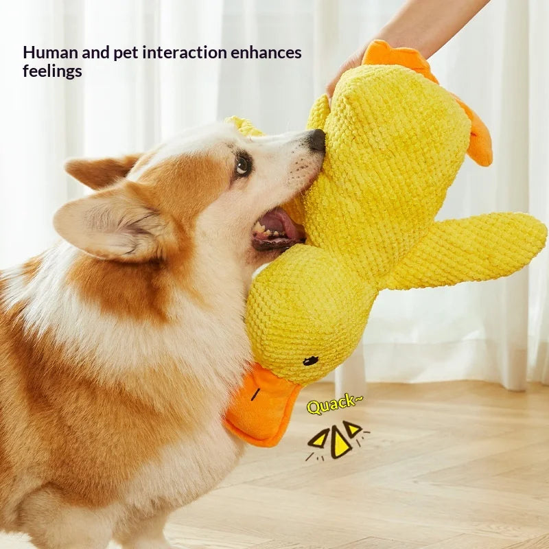 Dogs relieve boredom, grind their teeth, ducks enjoy themselves, and make sounds with toys